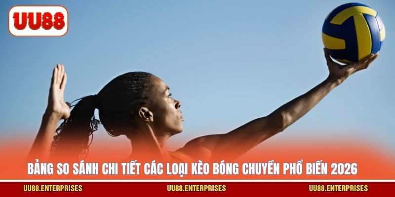 Bảng so sánh chi tiết các loại kèo bóng chuyền phổ biến 2026